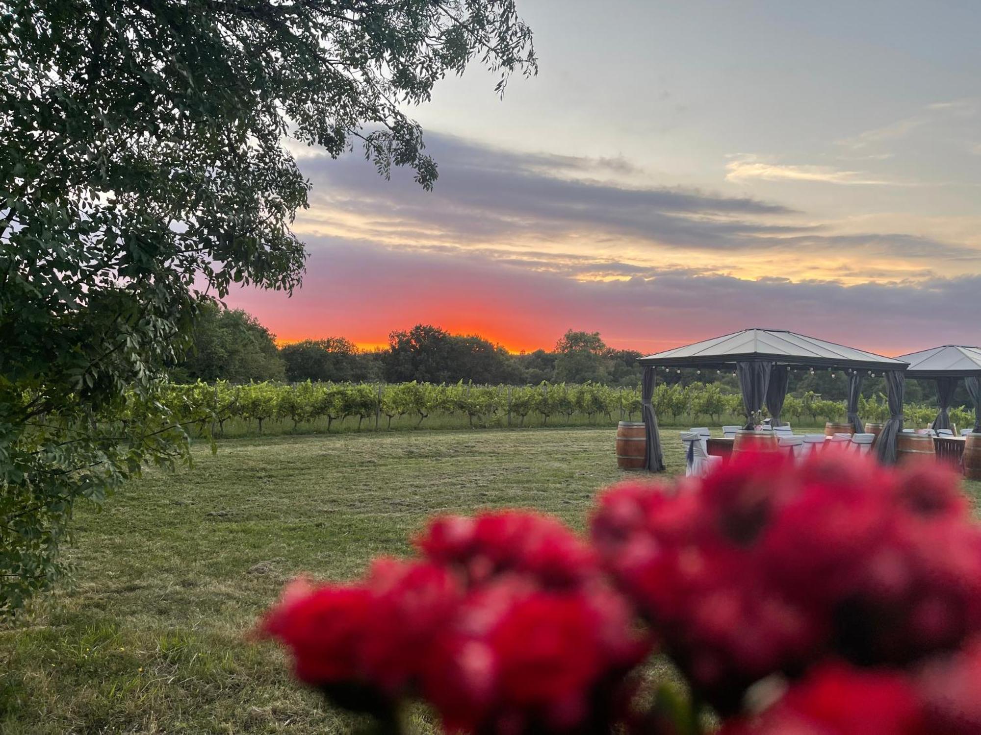 Bordeaux Chateau Lafleur Quinsac  Ngoại thất bức ảnh