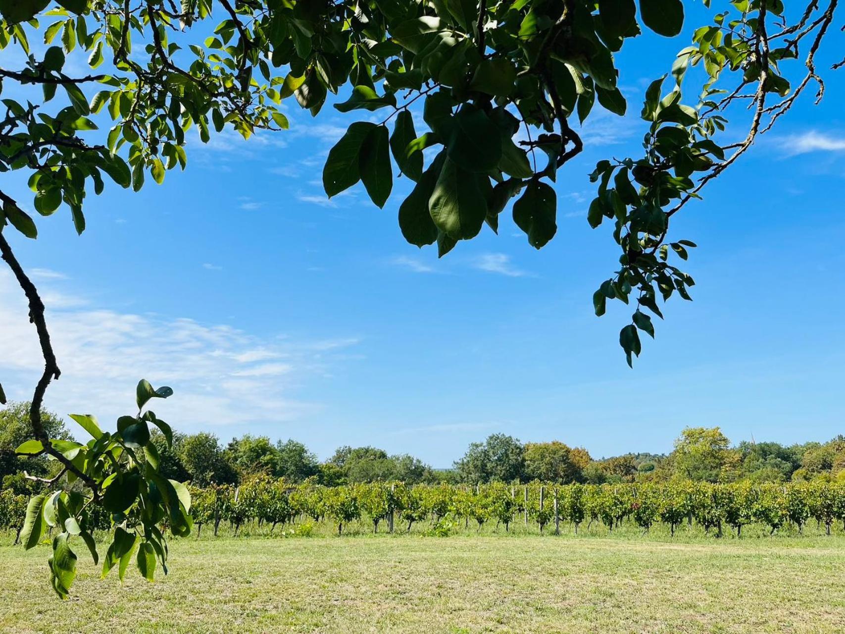 Bordeaux Chateau Lafleur Quinsac  Ngoại thất bức ảnh